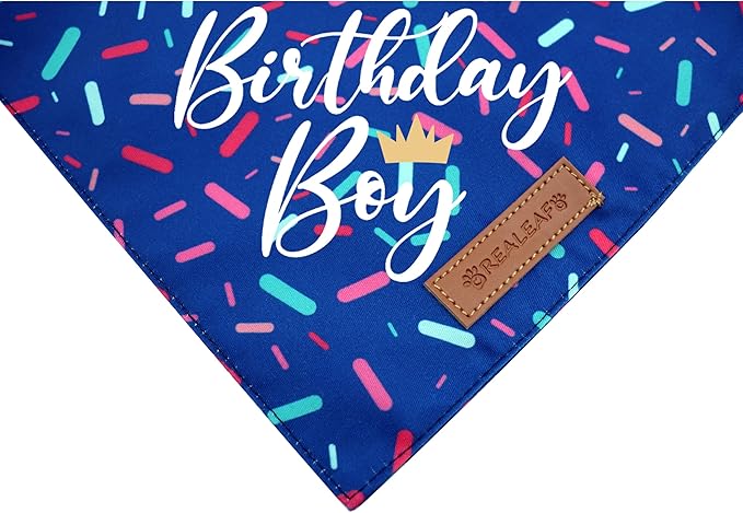 Realeaf Birthday Boy Dog Bandana, Dog Birthday Party Supplies,Premium Durable Fabric, Bandana for Small and Medium Dogs Pets (Blue, Small)