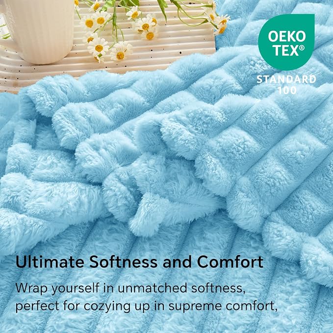 BEDELITE Light Blue Checked Fleece Twin Throw Blanket for Bed, 60x80 Inch | Soft Warm Fuzzy Fluffy Blanket for Couch Sofa, Lightweight Plush Cozy Throws for Home Room Decor, Gift for Women, All Season