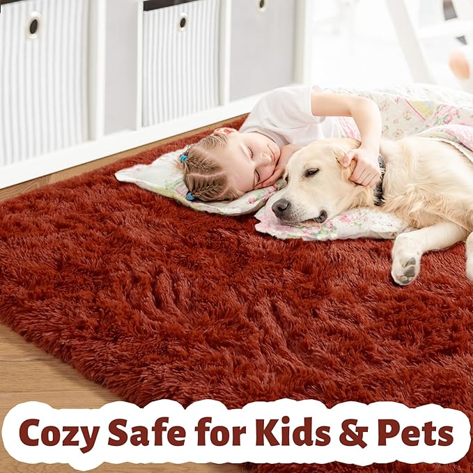 Amdrebio Terracotta Rust Area Rugs for Bedroom Living Room, 5x7 Fluffy Fuzzy Shaggy Furry Rug for Kids Room Decor Aesthetic, Modern Cute Plush Shag Rustic Carpet for Nursery Dorm Classroom Playroom | Shag Fuzzy Fluffy Kids Carpet, Classroom Nursery Pla...