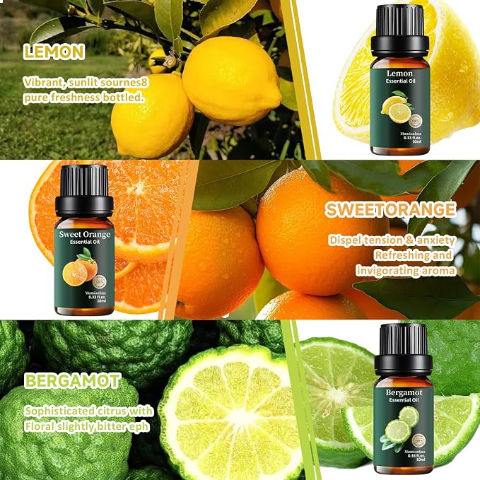 Fruity Essential Oil Set 12x10ml, Pure Lemon Grapefruit Orange Bergamot Pineapple Coconut Mango Pomegranate Blueberry Fig Lychee Cherry, Aromatherapy for Candle & Soap Making, Home Freshener