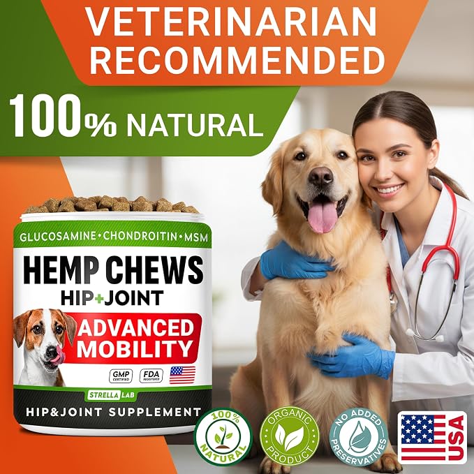 Large Breed Hemp + Glucosamine Dog Joint Supplement - Hemp Chews for Dogs Hip Joint Pain Relief - Omega 3, Chondroitin, MSM - Advanced Mobility Hemp Oil Treats for Large Dogs - Made in USA - 240 Ct