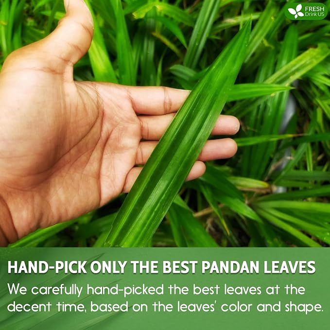FreshDrinkUS, Premium 15 Pandan Leaf Tea Bags, 100% Natural & Pure from Pandan Leaves. Loose Leaf Pandan Herbal Tea. Made with Natural Material Tea Bags. No Sugar, No Caffeine, No Gluten, Vegan. (15 Tea bags)
