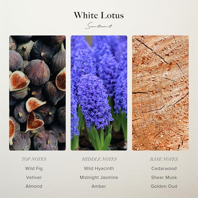 Scentiment White Lotus Diffuser Oil - Premium Hotel Scent with Notes of of Wild Fig, Vetiver, Almond & Sandalwood Home Scent, Hotel Fragrance Oil Diffuser Refill - 4.06 fl oz (120 mL)
