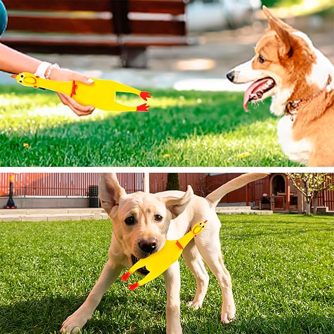 POPLAY 3 PCS Screaming Chickens, Prank Novelty Toys Squeaky Rubber Chickens for Dogs