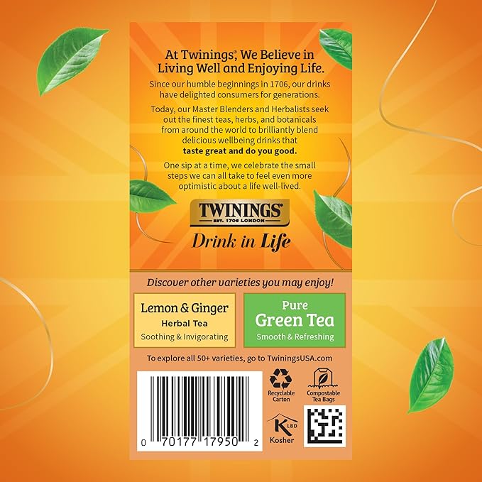 Twinings Orange & Cinnamon Spice Herbal Tea Individually Wrapped Bags, 20 Count (Pack of 2), Naturally Caffeine-Free, Enjoy Hot or Iced, 20 Teabags