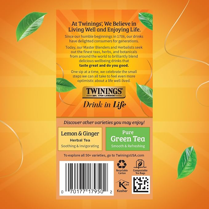 Twinings Orange & Cinnamon Spice Herbal Tea Individually Wrapped Bags, 20 Count (Pack of 6), Naturally Caffeine-Free, Enjoy Hot or Iced, 120 Teabags