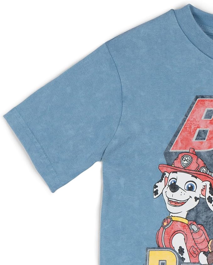 Paw Patrol Birthday T-Shirt Toddler to Little Kid Sizes (2T - 7-8)