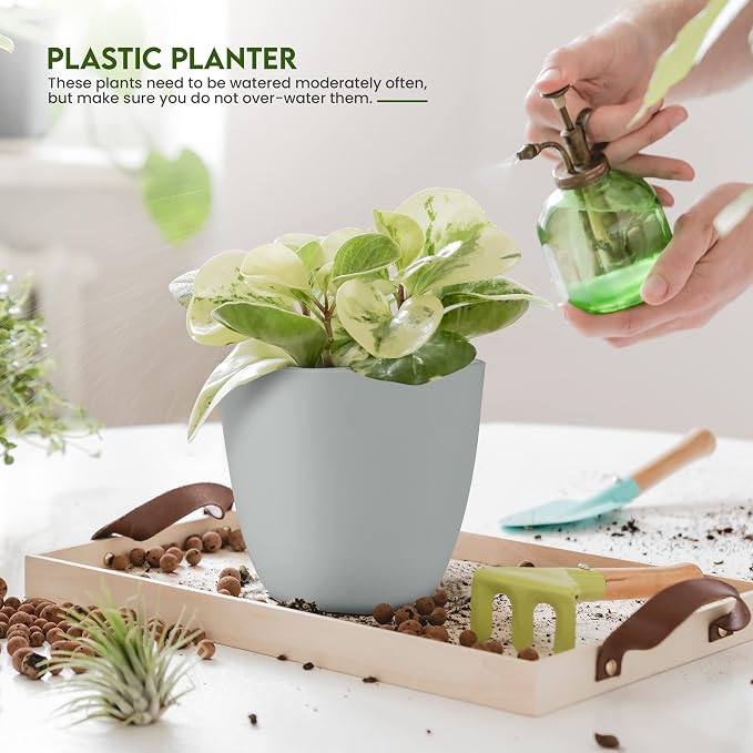 Plant Pots Indoor with Drainage, 5 Pack Multi-Size Planters Set, Grey | Drainage holes included Multiple sizes 7/6.6/6/5.3/4.8 In Indoor plants and flowers Durable plastic construction