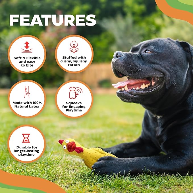 100% Natural Latex Squeaky Dog | Durable Rubber Chicken Chew Toy for Small & Large Dogs | Funny Screaming Chicken | Safe & Interactive Toy for Play, Teething and Boredom | Tough Design