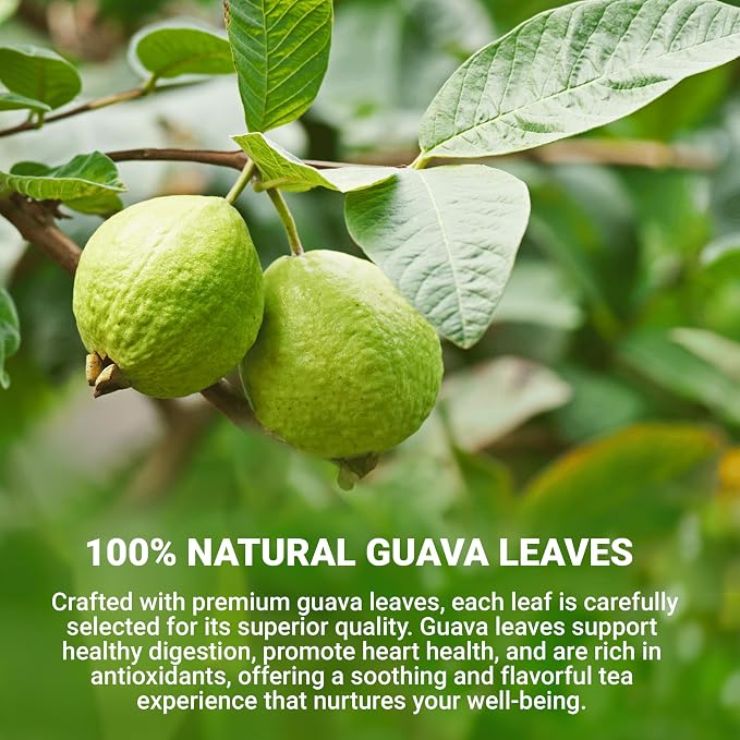 LeafLea Guava Leaf Tea Bags, Hojas De Guayaba, Caffeine-Free, 40 Count | Single-Ingredient Guava Leaf Tea, Smooth And Lightly Sweet — Individually Foil-Wrapped, Sugar-Free, A 40-Bag Box To Try