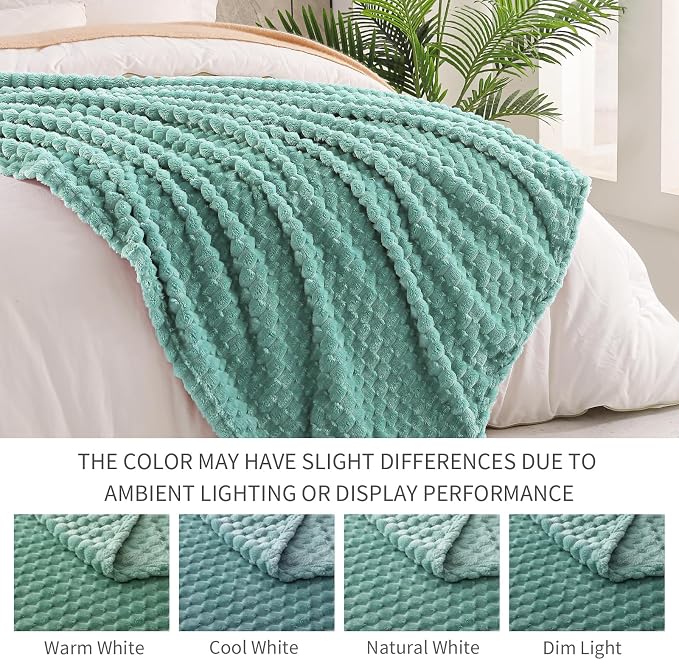 Exclusivo Mezcla 3D Fleece Queen Size Blanket for Bed, Celadon | Extra Soft Fuzzy Plush Lightweight Bed Blankets, Cozy Fluffy Decorative Blankets for All Seasons, 90x90 Inches