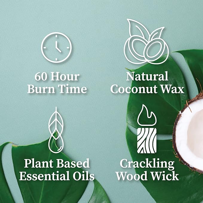 Hemlock Park White Sage Apothecary Scented Candle | Crackling Wood Wick, Botanical Fragrance & Coconut Apricot Wax | Up to 60 Hour Burn Time | 8 oz | Made in USA
