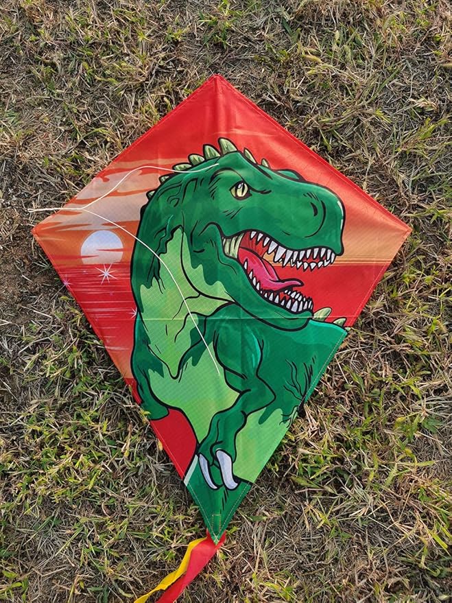 HONBO DIY Kite for Kids, Beginners Kite for Children, Wonderful Eddy Kite for 3 Years up, with 2x300cm Long Tails, Kite Handle, 60m String and Swivel incloud