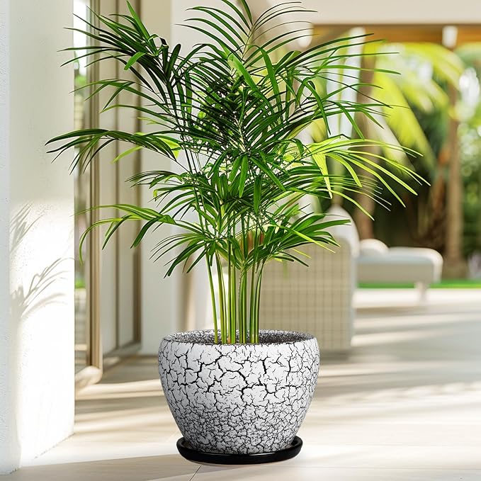 Ceramicfor Ceramic Plant Pot 8 Inch - Ceramic Planter for Indoor Plants, Round Flower Pot with Drainage Hole and Saucer, Glaze White and Black