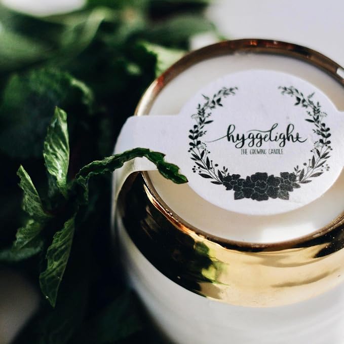 Hyggelight - The Growing Candle, Wild Flower Scented, 10oz Ceramic Pot, Single Wick Aromatherapy Candles, 100% Soy for Women and Men, Clara