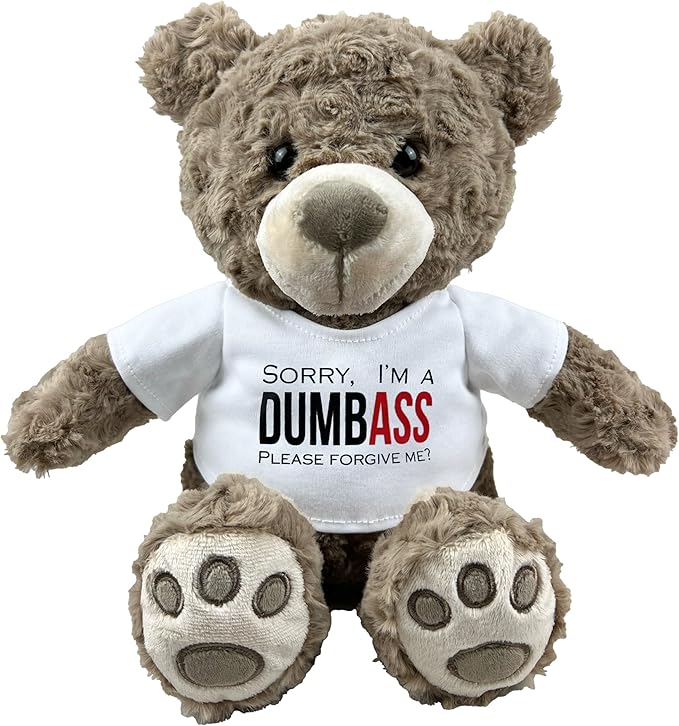 I’m Sorry Teddy Bear 10” Sitting | I Love You Im Sorry Plushie | Im Sorry Gifts for Her Stuffed Animal