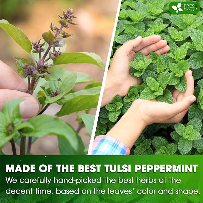 FreshDrinkUS, Premium Tulsi Peppermint Herbal Tea – 75 Tea Bags, 100% Natural, Blend of Tulsi Holy Basil Leaves, and Peppermint Leaves. Made with Natural Material Tea Bags. No Sugar, Vegan.