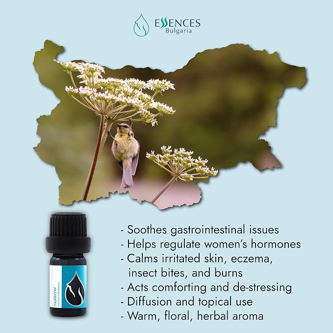Essences Bulgaria Organic Yarrow Essential Oil 1/6 Fl Oz | 5ml | Achillea millefolium | 100% Pure and Natural | Undiluted | Therapeutic Grade | Family Owned Farm | Steam-Distilled | Non-GMO | Vegan