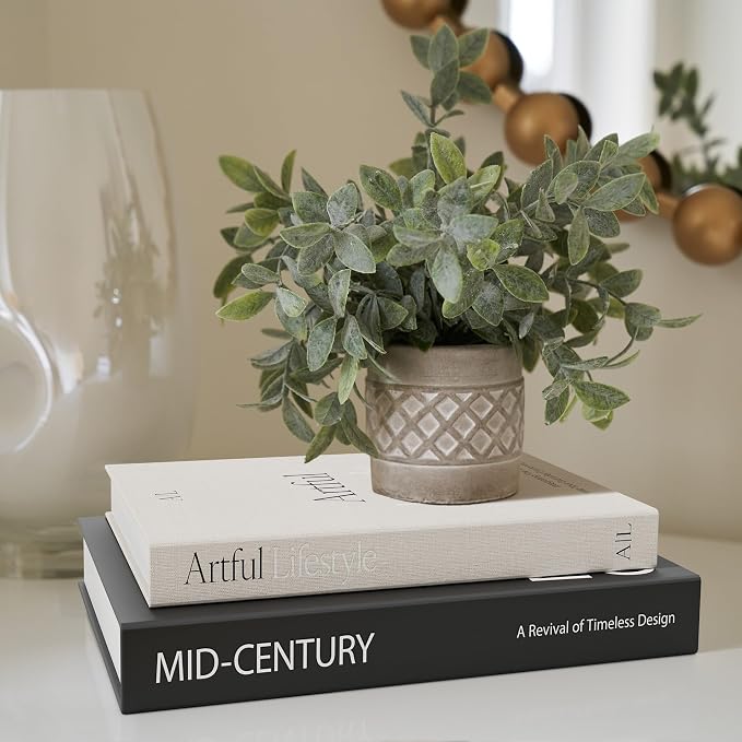 Aesthetic Decorative Books Set of 2 - Stylish Boxes for Coffee Table Decor | Stylish Modern Home Decoration for Your Bookshelf or Mantel, Faux/fake Books Doubles as Photo Storage or Keepsake Box