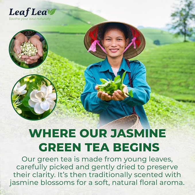 LeafLea Jasmine Green Tea Bags, Naturally Jasmine-Scented, 40 Count | Smooth Green Tea With Soft Jasmine Aroma, No Petals Inside, Sugar-Free, Vegan, 40 Individually Foil-Wrapped Bags
