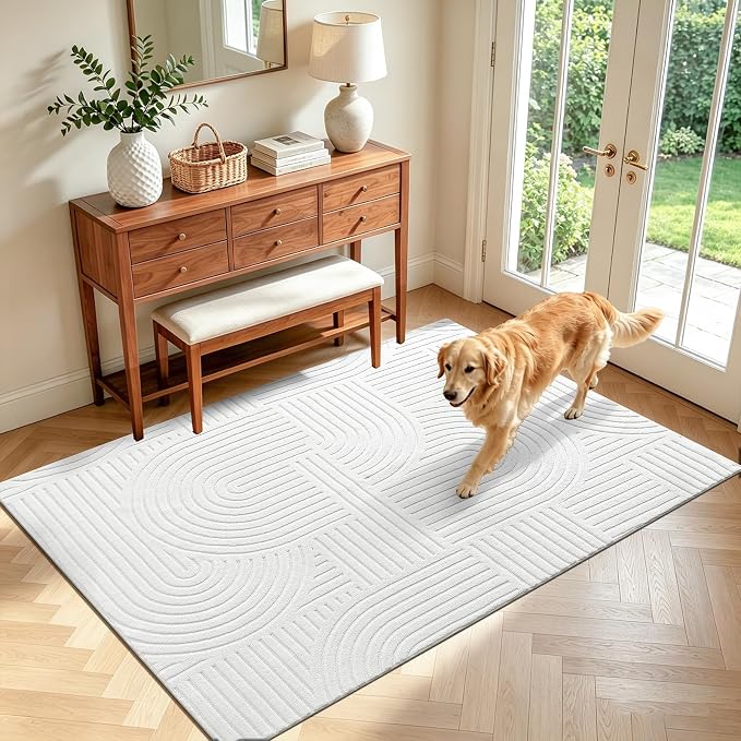 Pauwer 4x6 Area Rugs for Living Room, Modern Non Slip Washable Rug, White | Arch Pattern, Soft Fluffy, Neutral, Boho Accent, Solid Color Floor Carpet, For Kids Room Dining Room Nursery Entryway