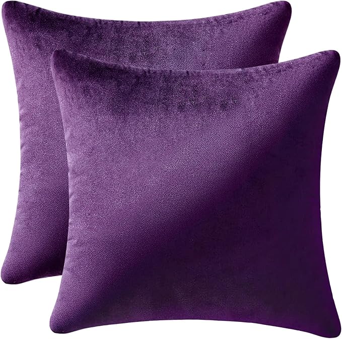 MIULEE Velvet Throw Pillow Covers 16x16 Inch Pack of 2 Eggplant Purple | Soft Solid Small Decorative Pillow Covers, Modern Luxury Home Decor, for Couch Chair Sofa Bedroom Livingroom Car