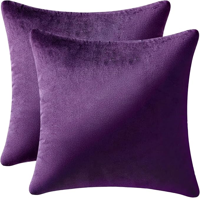 MIULEE Velvet Throw Pillow Covers 22x22 Inch Pack of 2 Eggplant Purple | Soft Solid Decorative Pillow Covers, Modern Luxury Home Decor, for Couch Chair Sofa Bedroom Livingroom
