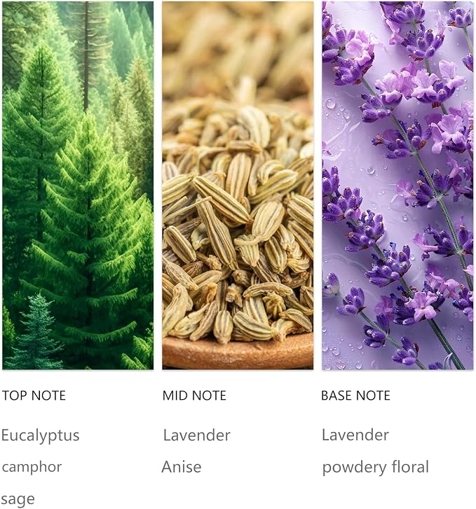 Lavender Oil Essential Oil for Waterless Diffuser 120ml, Eucalyptus Sage & Anise Scent Oils, Dual Action Aromatherapy for Relaxation Clear Breathing