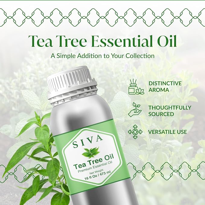 Siva Tea Tree Essential Oil 16 Fl Oz – for Diffuser, Skin & Hair Care – Ideal for Massage & DIY Blends