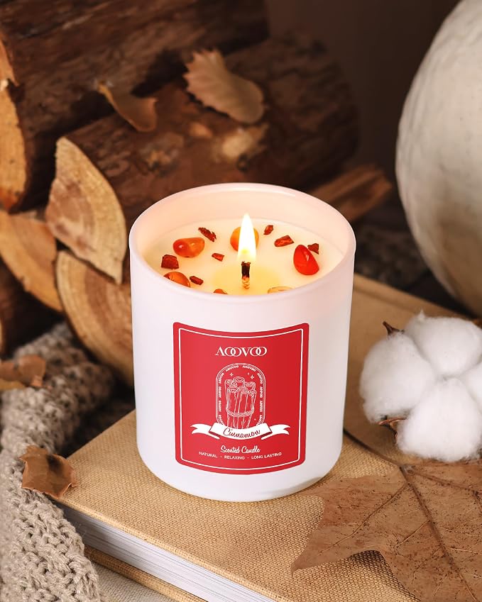 AOOVOO Apple Cinnamon Scented Candles for Women - Aromatherapy Candle with Crystals Inside, 10oz Soy Candles for Home Scented, Birthday Gifts Christmas Candle for Mom Women
