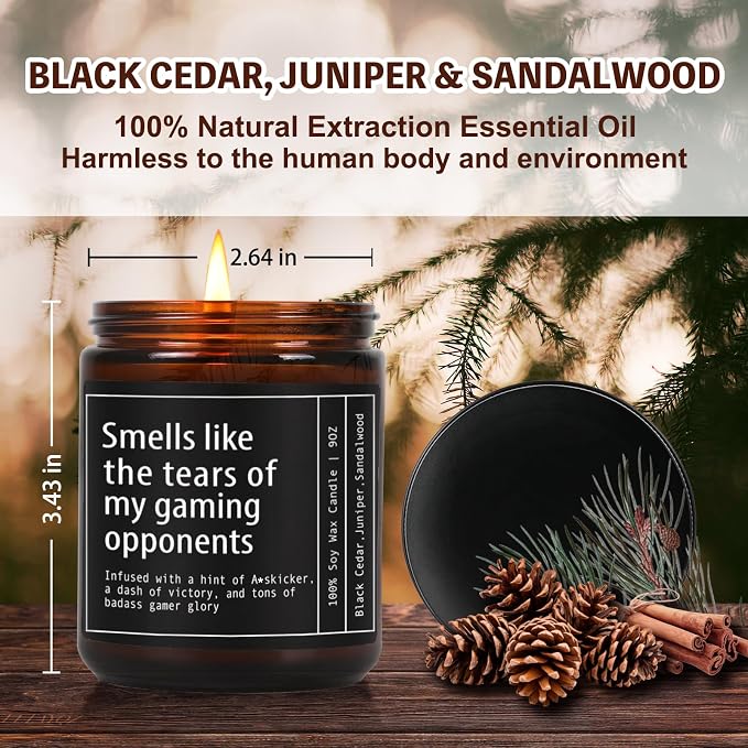 Funny Gaming Gamer Candle Gifts for Men, Candle Smells Like The Tears of My Gaming Opponents, Unique Birthday Christmas Gamer Candles Gift for Boyfriend/Brother/Husband/Dad/Teen Boys/Game Lover-100