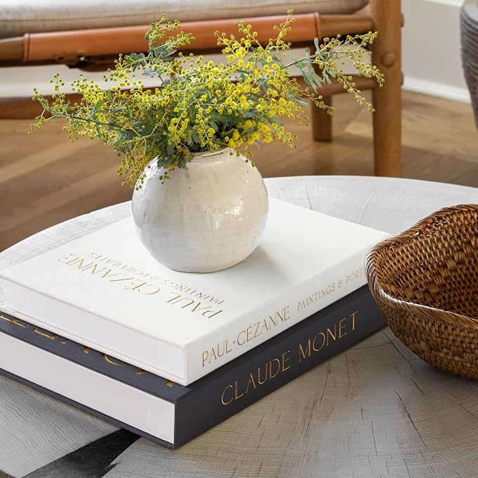 Aesthetic Decorative Books - Coffee Table Books Decor - Faux Decor Book Storage Box for Decoration - Set of 2 Linen Fake Book for Home Table Decors - Photo Storage Keepsake Box