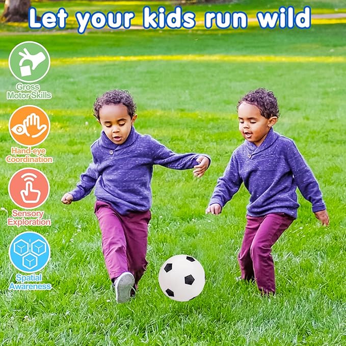 5 Pack Sports Balls Set for Kids with Bag Balls for Toddlers 1-3 Football Soccer Basketball Baseball Volleyball Outdoor Toys Sport Bouncy Playground Kickball Hand Pump Outside Toddler 1-3 2-4 3-5 Gift