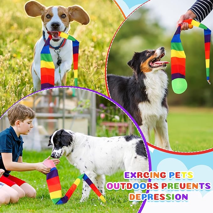 Leyndo 35 Inch 8 Pcs Throw and Catch Balls with Rainbow Tail, Fun Colorful Sports Comet Balls Playground Toys for School Classroom Beach Outdoor Camping Healthy and Fun Games (Multi Color)