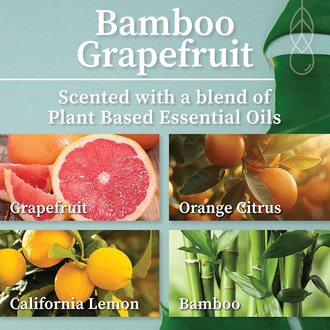 Hemlock Park Bamboo Grapefruit Apothecary Scented Candle | Crackling Wood Wick, Botanical Fragrance & Coconut Apricot Wax | Up to 60 Hour Burn Time | 8 oz | Made in USA