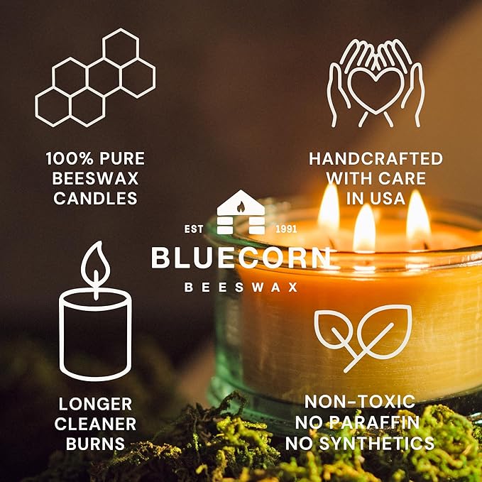 Bluecorn Botanica Beeswax 3-Wick Candle – Cypress & Sandalwood, 100% Pure Beeswax & Essential Oils – 10oz Hand-Blown Recycled Spanish Glass – Non Toxic, Clean Burning, Refillable Glass Jar