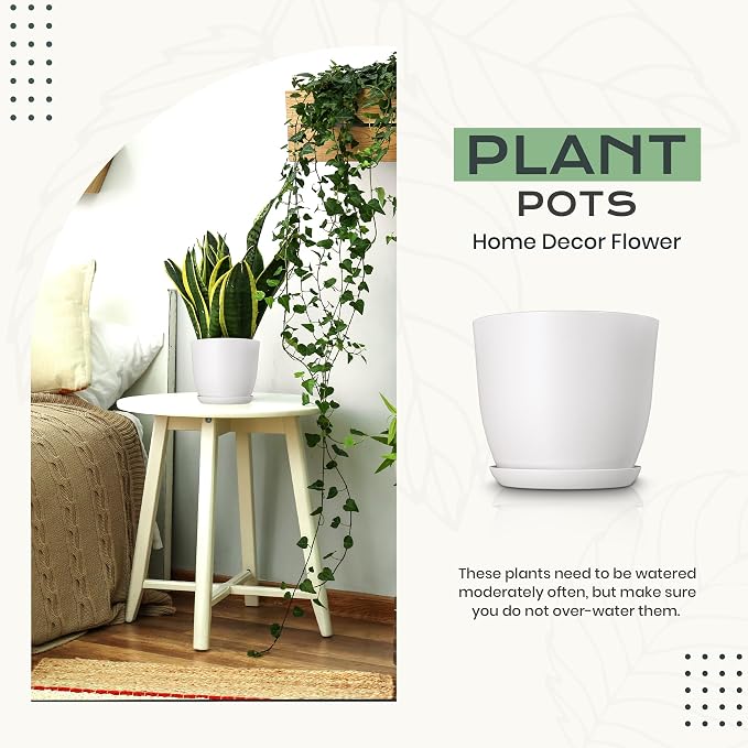 Plant Pots Indoor with Drainage, 10 Pack Multi-Size Planters Set, White | Drainage holes included Multiple sizes 7/6.6/6/5.3/4.8 In Indoor plants and flowers Durable plastic construction