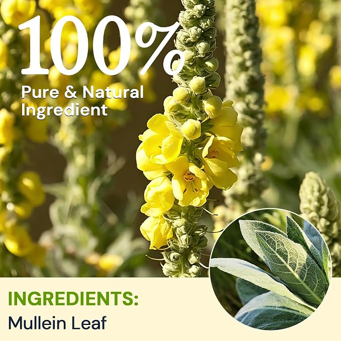Mullein Leaf Tea Bags for Lung Support, 20 Tea Bags, Herbal Tea from Mullein Leaves, Caffeine Free, No Sugar