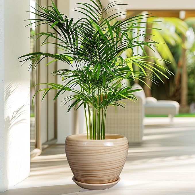 Ceramicfor Planter 8 Inch - Indoor/Outdoor Ceramic Plant Pot With Drainage Hole and Saucer, Round Modern Flower Planter for Succulents, House, Patio - Yellow