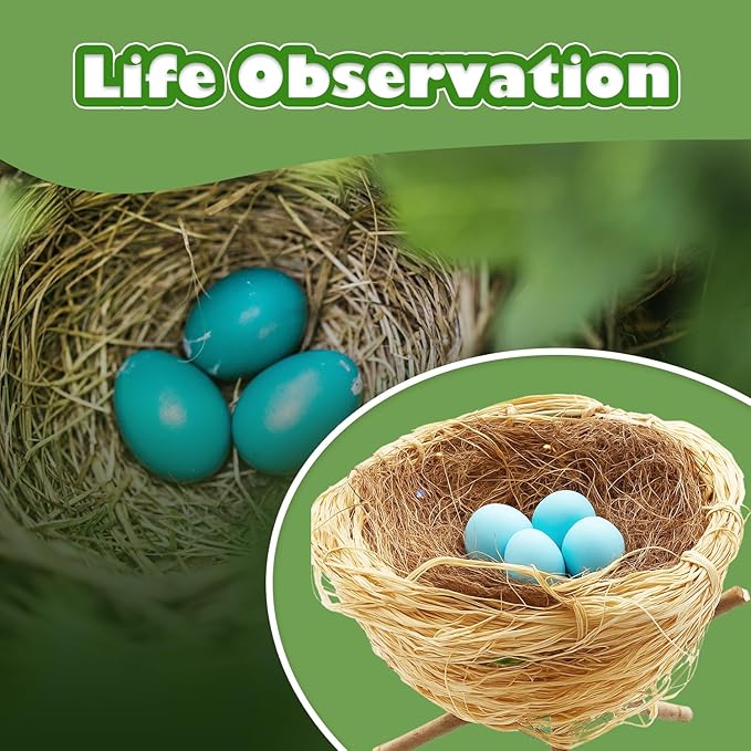 CHARTEKS Bird Nest Craft Kit with LED String Lights - DIY Nature Arts and Crafts STEM Project for Kids & Adults, Creative Home Decor Gift for Boys Girls Ages 8-12