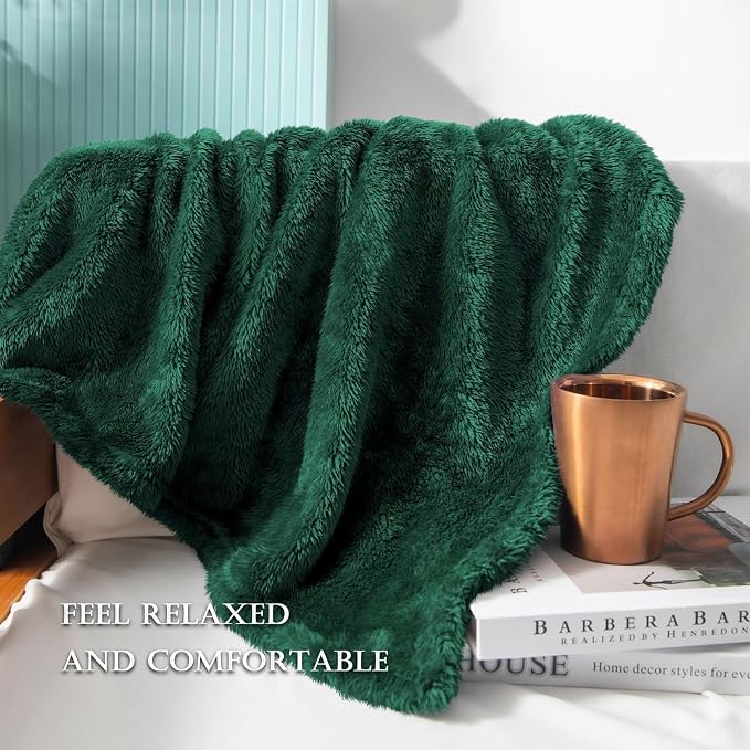 Exclusivo Mezcla Fuzzy Plush Fleece Bed Blanket Queen Size, Forest Green | 90x90 Inches, Super Soft and Cozy Bed Blanket, Fluffy Decorative Bedding for Livingroom, Bedroom, All Season