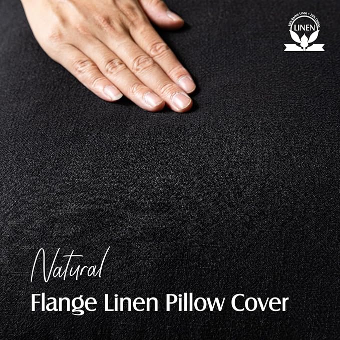 Foindtower Pack of 2, Decorative Linen Solid Throw Pillow Covers Soft Accent Cushion Case Boho Farmhouse Neutral Pillowcase for Chair Couch Sofa Bedroom Living Room Home Decor 24 x 24 Inch Black