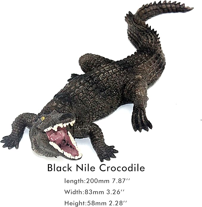 FUNSHOWCASE African Jungle Animals Black Nile Crocodile Toy Figure Realistic Plastic Figurine Height 2.5-inch