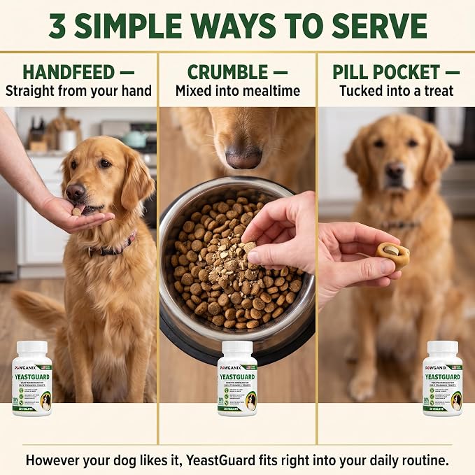 YeastGuard – Dog Yeast Infection Treatment & Probiotics (60 Chews) | Itchy Skin, Ear, Paw & Allergy Relief | 2B CFU + Caprylic Acid | Vet-Approved, Made in USA