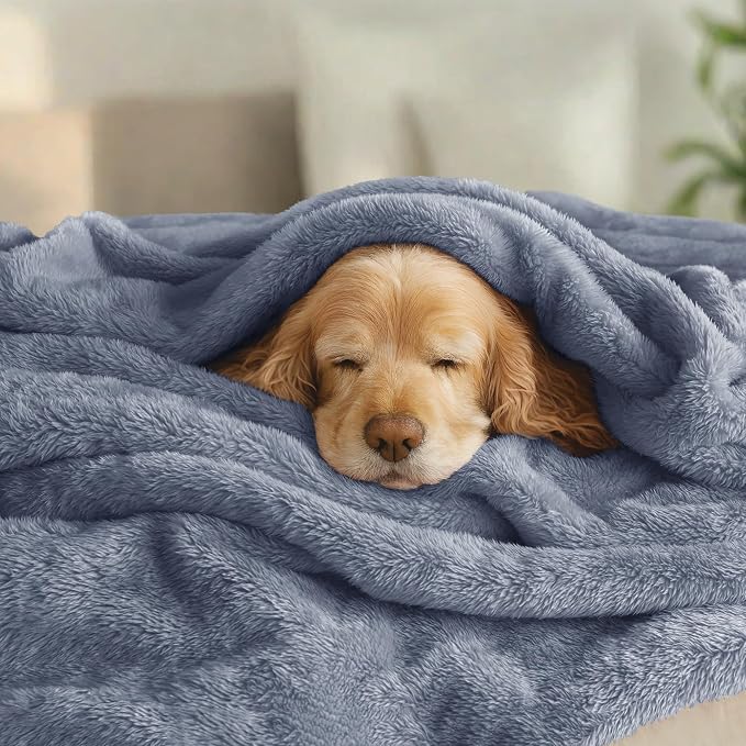 Exclusivo Mezcla Fuzzy Plush Fleece Bed Blanket King Size, Stone Blue | 104x90 Inches, Super Soft and Cozy Bed Blanket, Fluffy Decorative Bedding for Livingroom, Bedroom, All Season