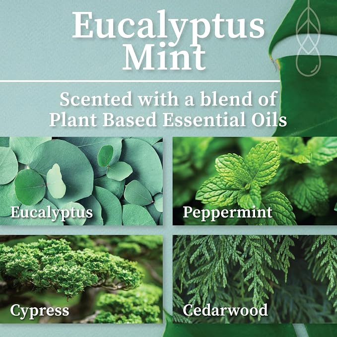 Hemlock Park Eucalyptus Mint Apothecary Scented Candle | Crackling Wood Wick, Botanical Fragrance & Coconut Apricot Wax | Up to 60 Hour Burn Time | 8 oz | Made in USA