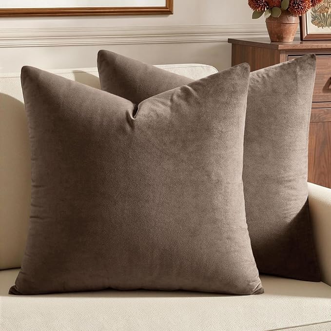 MIULEE Velvet Throw Pillow Covers 18x18 Inch Pack of 2 Coffee | Soft Solid Decorative Pillow Covers, Modern Luxury Home Decor, for Couch Chair Sofa Bedroom Livingroom