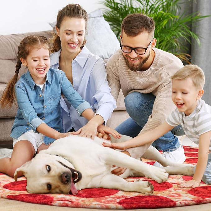 SeaRoomy Pizza Blanket, Realistic Food Funny Pizza Blanket, 60 in | White Elephant Gifts, Gag Gifts For Teen Boys & Girls, Novelty Christmas Birthday Presents, Double Sided, Soft Flannel