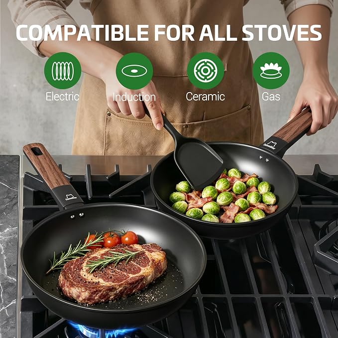 Non Stick Frying Pan Skillet, Titanium Coating Fry Pan Egg Pan Omelet Pan Nonstick, Healthy Induction Cookware Chef's Pan, PFAS PFOA & PTFE Free (9.5 Inch)