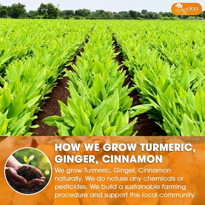 TOG999, Premium 6oz Ginger Turmeric Cinnamon Loose Leaf Herbal Tea - Premium Quality Spiced Herbal Blend – Caffeine-Free, Non-GMO, Natural Dried Roots and Bark. Vegan-Friendly.